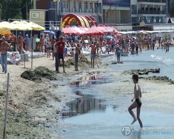 Арендованные пляжи Анапы утопают в горах водорослей