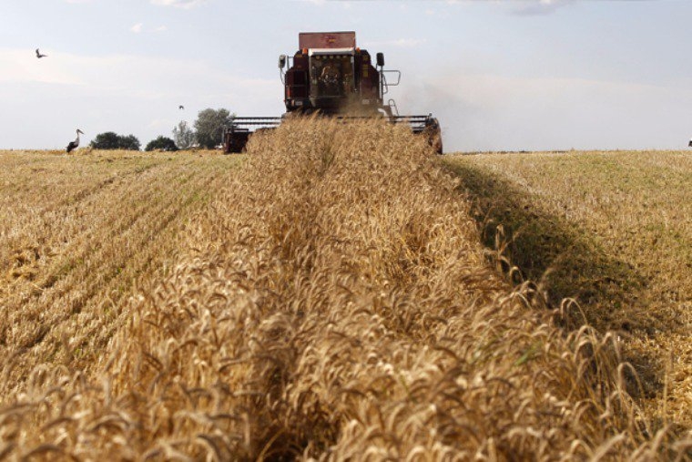Россия намерена выйти на лидирующие позиции на мировом рынке зерна